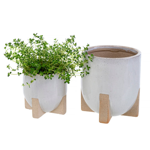 Mod Pot - Large