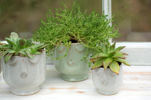 Happy Face Pot - Small