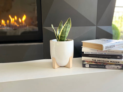 Mod Pot - Large